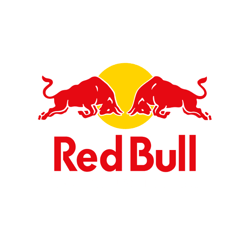 RedBull Racing Team 